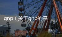gnp（關(guān)于gnp的基本情況說(shuō)明介紹）