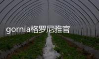 gornia格羅尼雅官網(wǎng),格羅尼雅男鞋