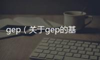 gep（關于gep的基本情況說明介紹）
