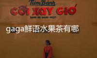 gaga鮮語水果茶有哪些優(yōu)勢