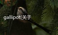 gallipot(關于gallipot簡述)
