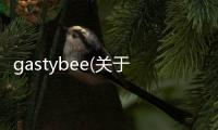 gastybee(關(guān)于gastybee簡述)