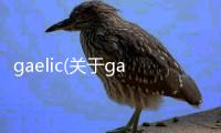 gaelic(關(guān)于gaelic簡述)