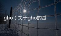 gho（關于gho的基本情況說明介紹）