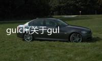 gulch(關于gulch簡述)