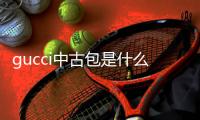 gucci中古包是什么意思（gucci 中古包）