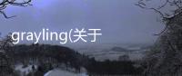 grayling(關于grayling簡述)