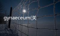 gynaeceum(關(guān)于gynaeceum簡(jiǎn)述)