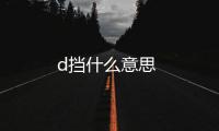 d擋什么意思