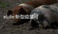 eLife:新型疫苗可預防致命鉤端螺旋體病