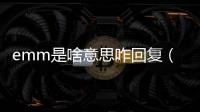 emm是啥意思咋回復（emmmm應該回復什么）