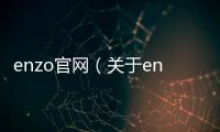 enzo官網（關于enzo官網的基本情況說明介紹）