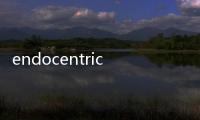 endocentric(關于endocentric簡述)