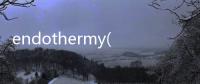 endothermy(關于endothermy簡述)