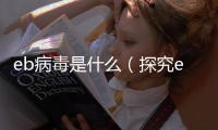 eb病毒是什么（探究eb病毒病的病因和傳播途徑）
