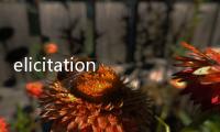 elicitation(關(guān)于elicitation簡述)