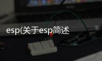 esp(關于esp簡述)
