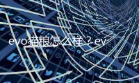 evo貓糧怎么樣？evo貓糧為何不產(chǎn)了
