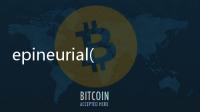 epineurial(關(guān)于epineurial簡(jiǎn)述)