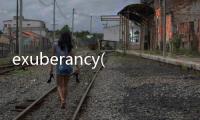 exuberancy(關于exuberancy簡述)