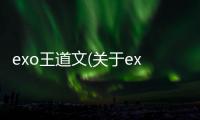 exo王道文(關于exo王道文簡述)