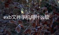 exb文件手機用什么軟件打開（exb文件）