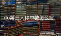 do第三人稱單數(shù)怎么寫（do第三人稱單數(shù)）