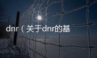 dnr（關于dnr的基本情況說明介紹）