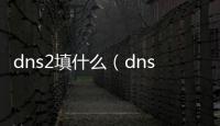 dns2填什么（dns1和dns2怎么填）
