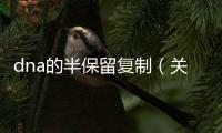 dna的半保留復(fù)制（關(guān)于dna的半保留復(fù)制的基本情況說明介紹）