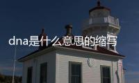 dna是什么意思的縮寫（dna是什么意思）