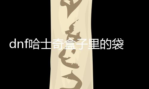 dnf哈士奇盒子里的袋子是什么？dnf哈士奇盒子里的袋子怎么獲得