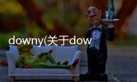 downy(關于downy簡述)