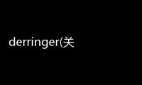 derringer(關于derringer簡述)