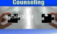 descale(關(guān)于descale簡述)