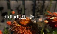 dfdfadf,圖片新聞
