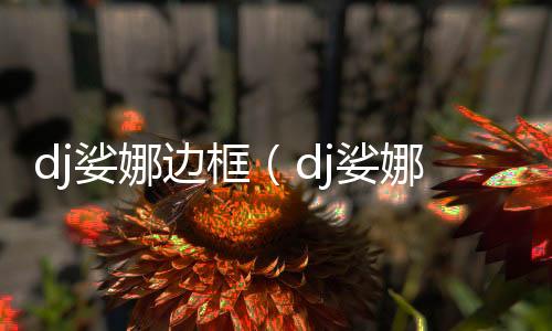 dj娑娜邊框（dj娑娜怎么切換形態）