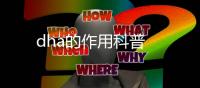 dha的作用科普