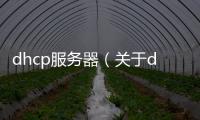 dhcp服務(wù)器（關(guān)于dhcp服務(wù)器的基本情況說明介紹）