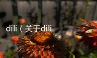 dili（關(guān)于dili的基本情況說明介紹）