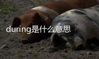 during是什么意思中文（during）