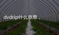 dvdrip什么意思，電影Dvdscr/bd/hd/ts版是什么意思