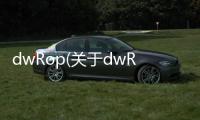 dwRop(關于dwRop簡述)