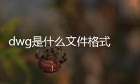 dwg是什么文件格式 手機（dwg是什么文件）