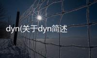 dyn(關于dyn簡述)