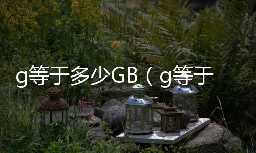 g等于多少GB（g等于多少）