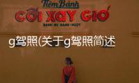g駕照(關(guān)于g駕照簡述)