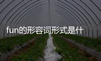 fun的形容詞形式是什么意思（fun的形容詞）