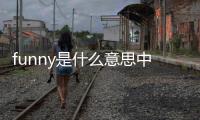 funny是什么意思中文（funny是什么意思）