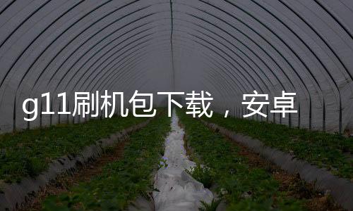 g11刷機(jī)包下載，安卓手機(jī)刷機(jī)教程詳解